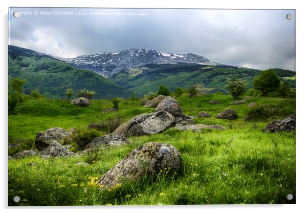Vitosha mountain, Bulgaria. Acrylic by Steve Whitham