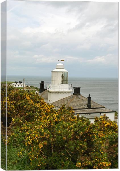 Whitby High Lighthouse Canvas Print by graham young