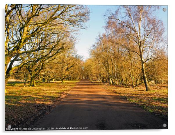 Tree-lined Lane Acrylic by Angela Cottingham