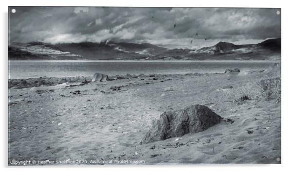 Llyn Peninsula from Shell Island Acrylic by Heather Sheldrick