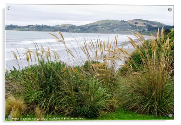 Moeraki Coast - Moeraki Acrylic by Laszlo Konya