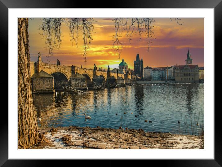 Golden Prague and the Charles Bridge Framed Mounted Print by Dave Williams