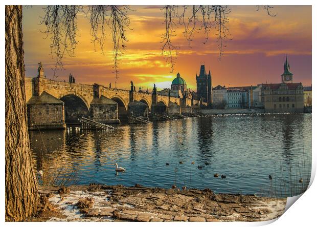 Golden Prague and the Charles Bridge Print by Dave Williams
