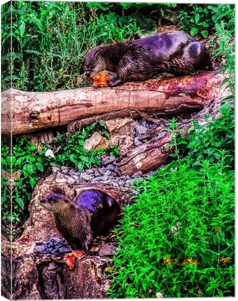Otters at Lunch Canvas Print by Paddy Art