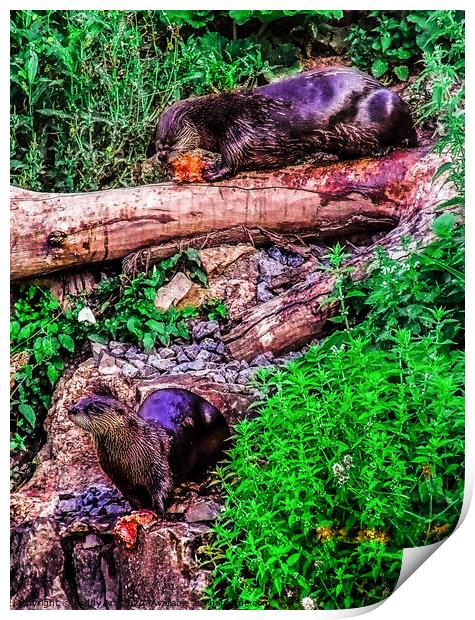 Otters at Lunch Print by Paddy Art