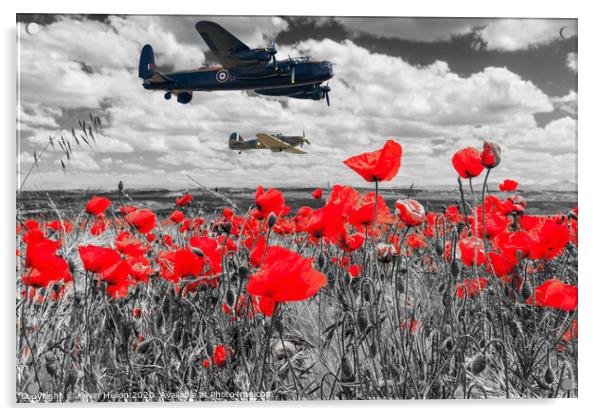 Lancaster bomber and spitfire flying over poppy fi Acrylic by Kevin Hellon