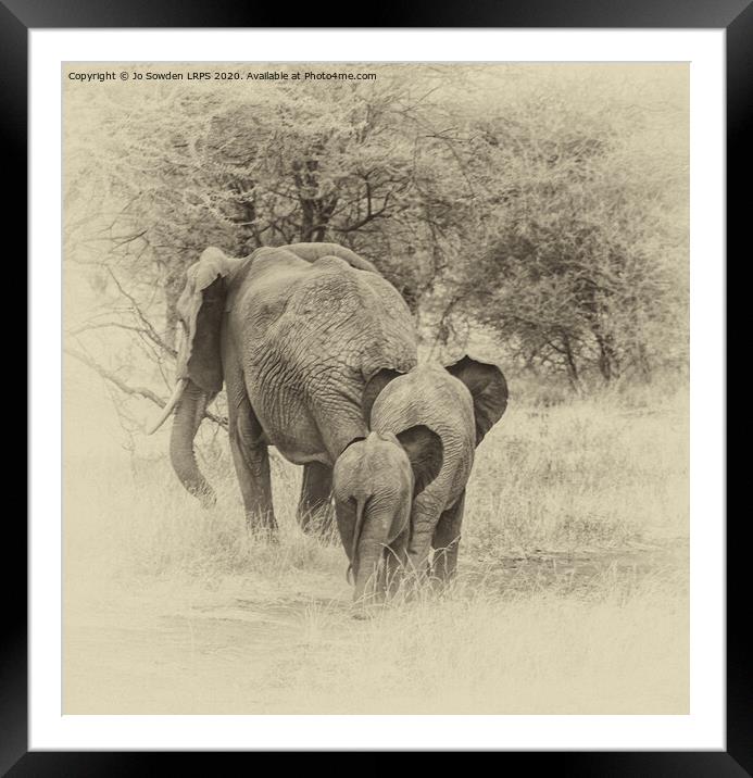 Elephant Family walking away, Serengeti  Framed Mounted Print by Jo Sowden