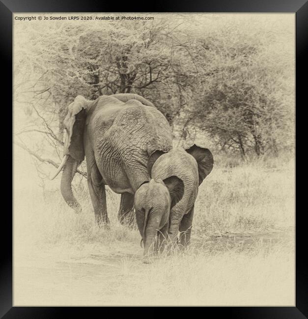 Elephant Family walking away, Serengeti  Framed Print by Jo Sowden