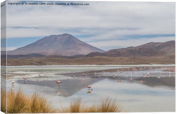 Salt Lake in the Andes, Bolivia with Flamingos  Canvas Print by Jo Sowden
