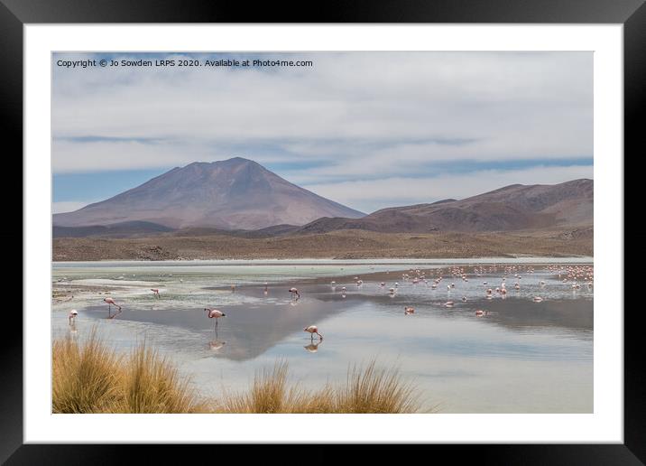 Salt Lake in the Andes, Bolivia with Flamingos  Framed Mounted Print by Jo Sowden