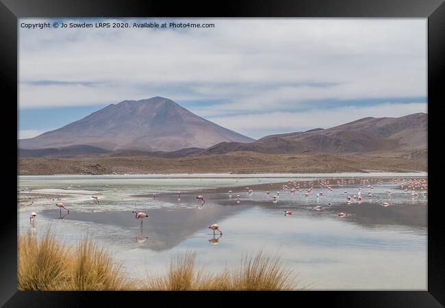 Salt Lake in the Andes, Bolivia with Flamingos  Framed Print by Jo Sowden
