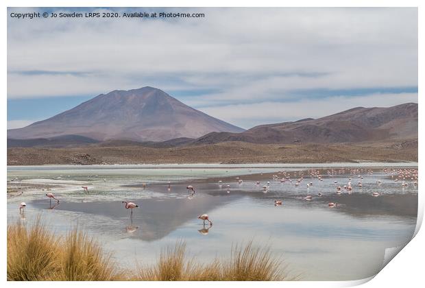 Salt Lake in the Andes, Bolivia with Flamingos  Print by Jo Sowden