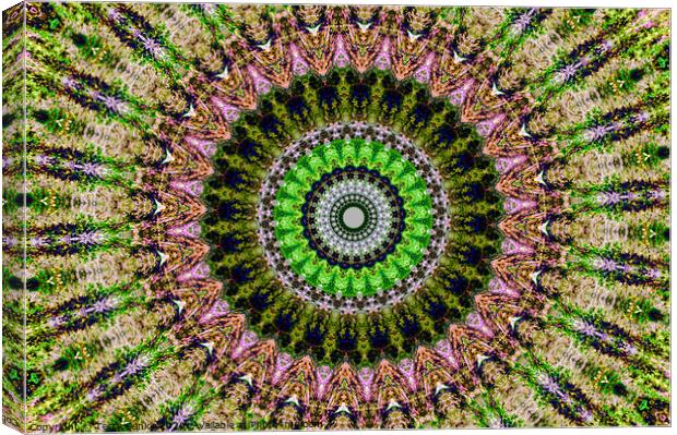 Abstract Digital kaleidoscopic Art Canvas Print by Terry Senior