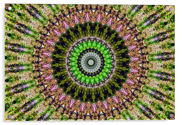 Abstract Digital kaleidoscopic Art Acrylic by Terry Senior