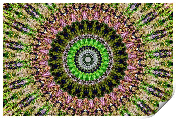 Abstract Digital kaleidoscopic Art Print by Terry Senior