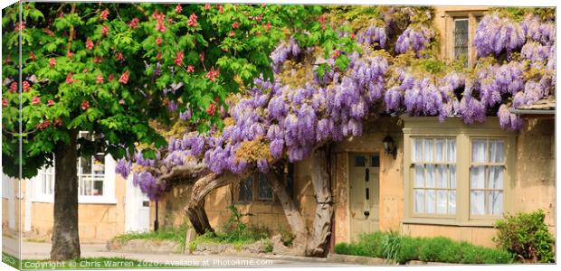 Wisteria in front of a building Canvas Print by Chris Warren