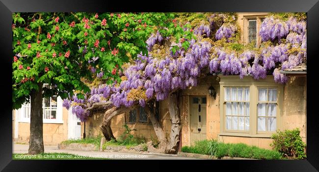 Wisteria in front of a building Framed Print by Chris Warren