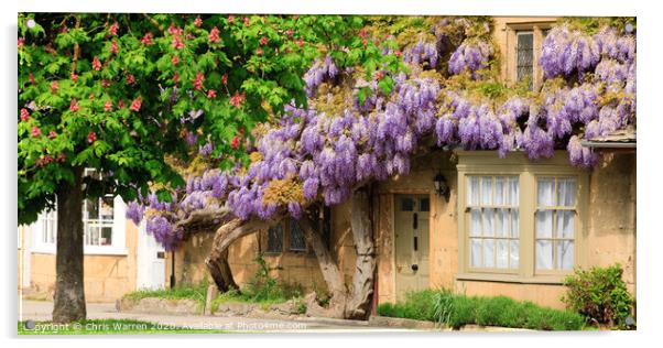 Wisteria in front of a building Acrylic by Chris Warren