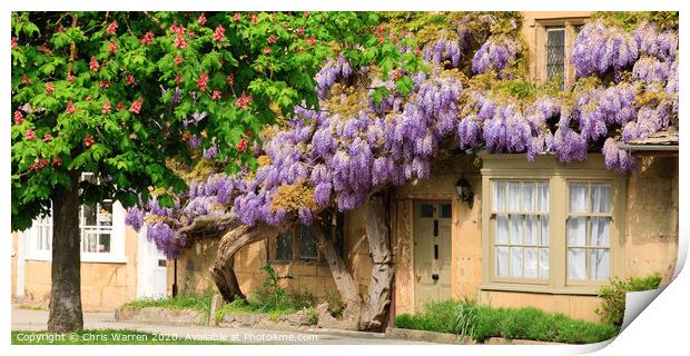 Wisteria in front of a building Print by Chris Warren