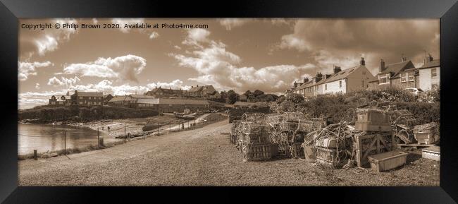 Craster Harbour in Northumberland. Panorama Framed Print by Philip Brown
