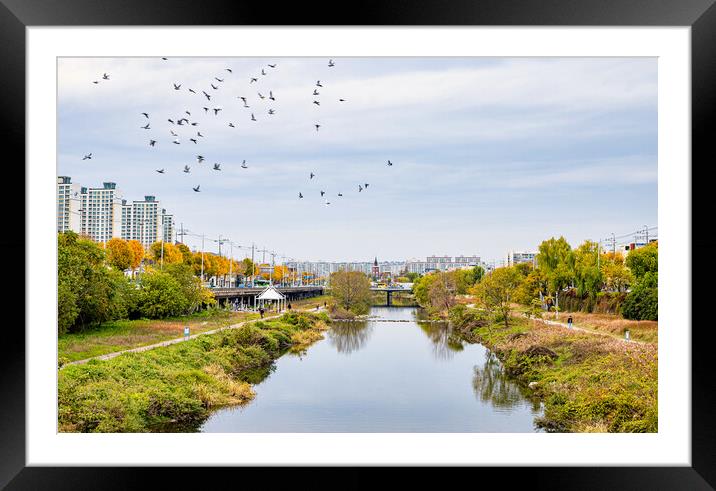 landscape view of Gwangju city Framed Mounted Print by Ambir Tolang