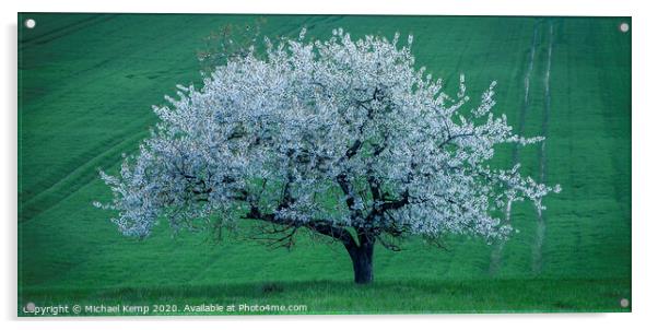 Apple tree in full blume  Acrylic by Michael Kemp