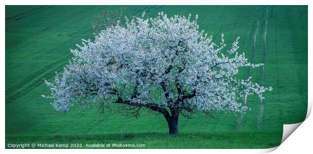 Apple tree in full blume  Print by Michael Kemp
