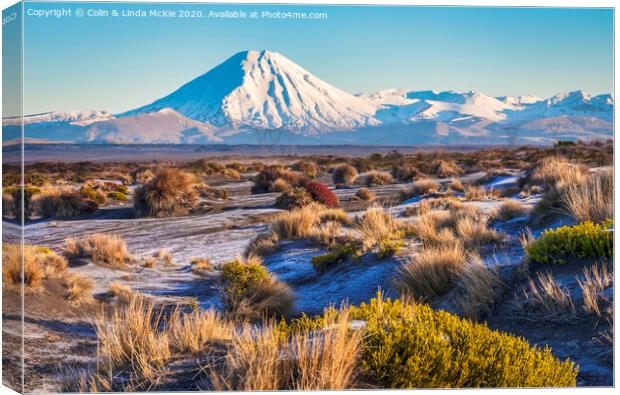 Ngauruhoe from the Desert Road Canvas Print by Colin & Linda McKie