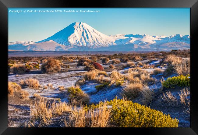 Ngauruhoe from the Desert Road Framed Print by Colin & Linda McKie