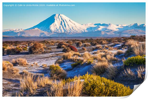 Ngauruhoe from the Desert Road Print by Colin & Linda McKie