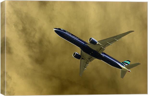 Airbourne Canvas Print by les tobin
