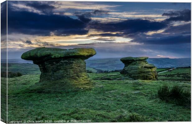 The Doubler Stones. Canvas Print by Chris North