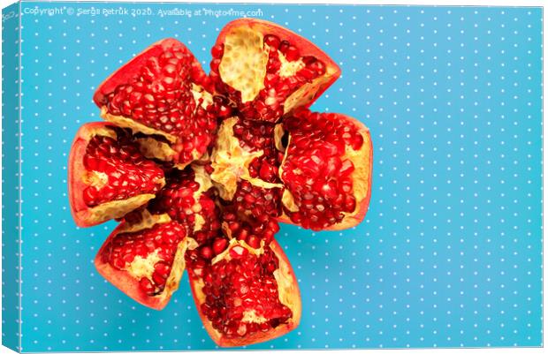 Ripe red pomegranate on a turquoise background with a speck, close-up. Canvas Print by Sergii Petruk