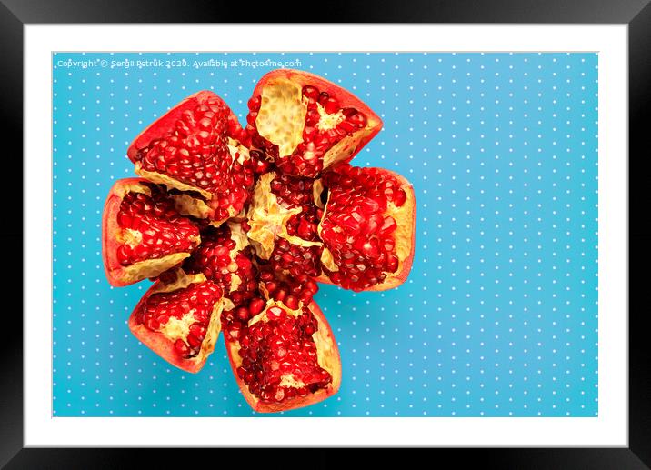 Ripe red pomegranate on a turquoise background with a speck, close-up. Framed Mounted Print by Sergii Petruk