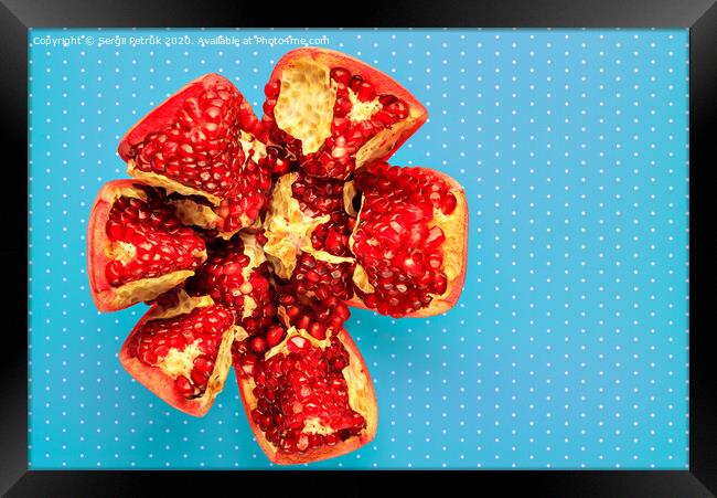 Ripe red pomegranate on a turquoise background with a speck, close-up. Framed Print by Sergii Petruk