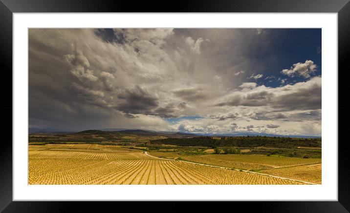 Storms approach over Rioja vineyards  Framed Mounted Print by Andy Dow