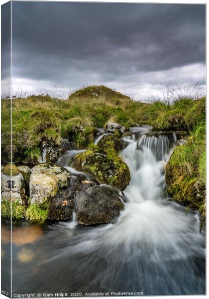 Stormy Dartmoor skies above the River Meavy Canvas Print by Gary Holpin