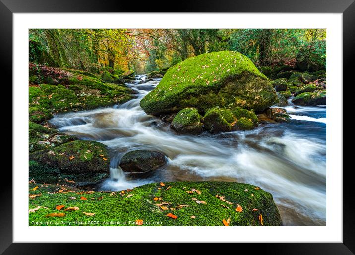 Autumn on the River Avon Framed Mounted Print by Gary Holpin