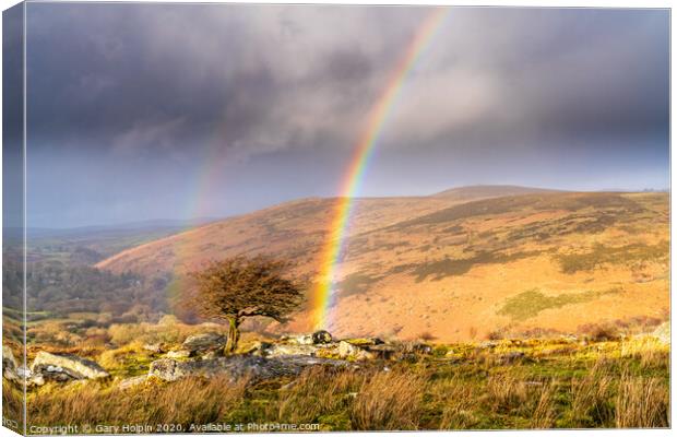 Double rainbow over a lone Dartmoor tree Canvas Print by Gary Holpin