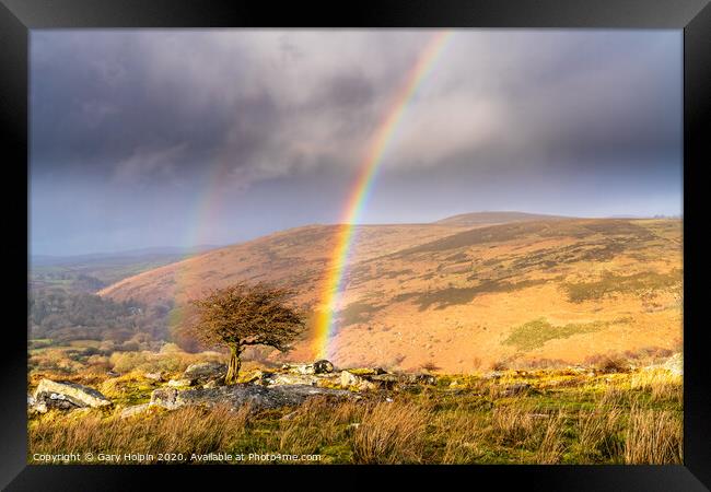 Double rainbow over a lone Dartmoor tree Framed Print by Gary Holpin