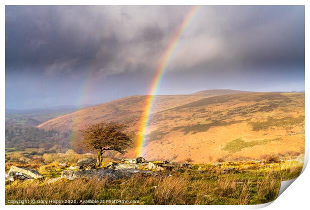 Double rainbow over a lone Dartmoor tree Print by Gary Holpin