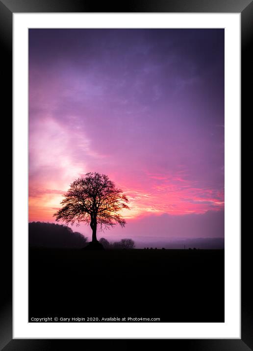 Lone tree at sunset Framed Mounted Print by Gary Holpin