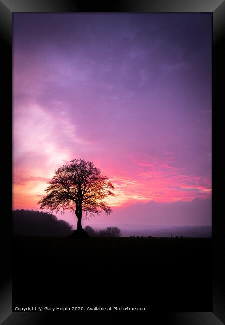 Lone tree at sunset Framed Print by Gary Holpin