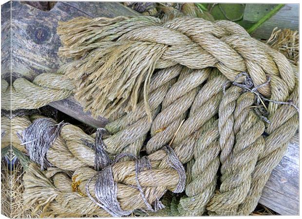 Any Old Rope Canvas Print by Lynn Bolt