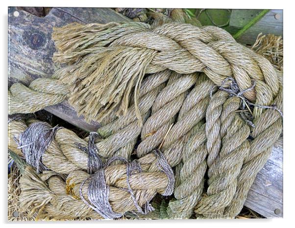 Any Old Rope Acrylic by Lynn Bolt