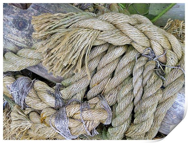 Any Old Rope Print by Lynn Bolt