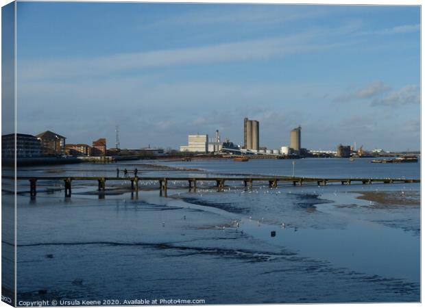 Low tide on River Thames at Erith Kent Canvas Print by Ursula Keene