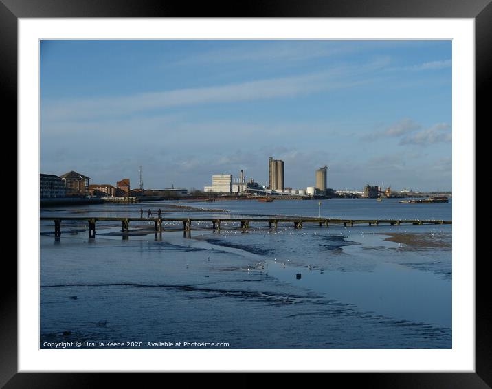 Low tide on River Thames at Erith Kent Framed Mounted Print by Ursula Keene