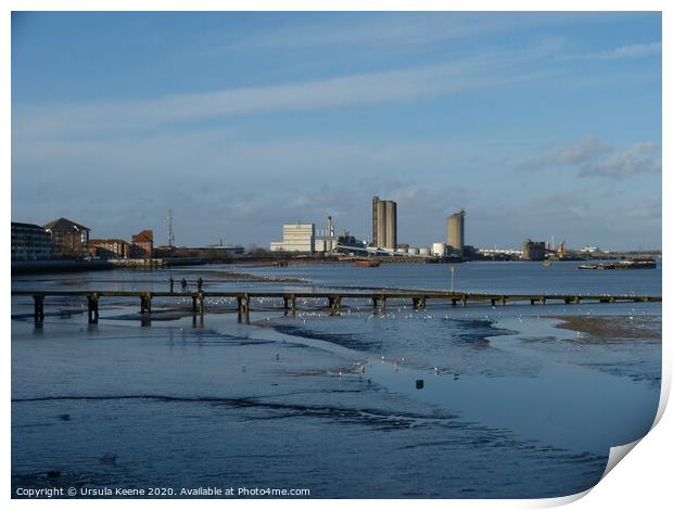Low tide on River Thames at Erith Kent Print by Ursula Keene
