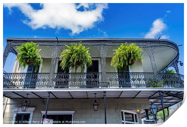 Old Building French Quarter Dauphine Street New Orleans Louisiana Print by William Perry